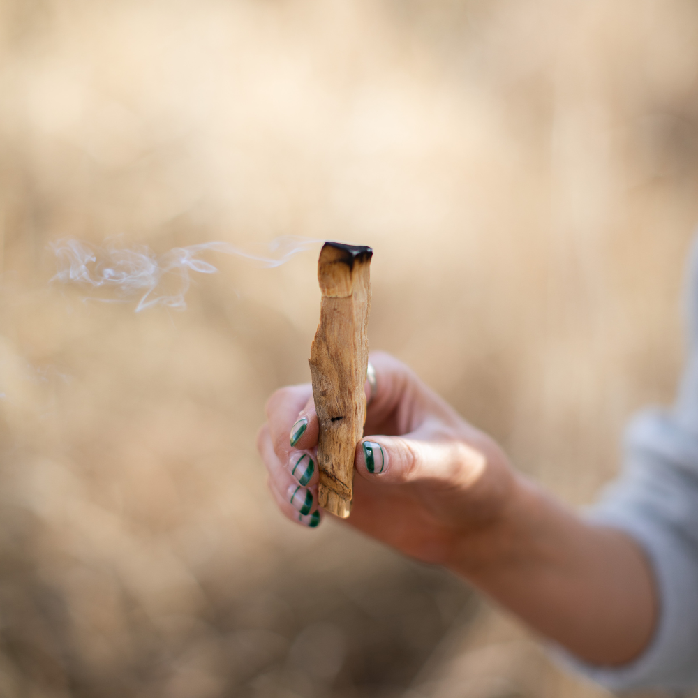 Palo Santo Single Stick Bundle, 1 kg