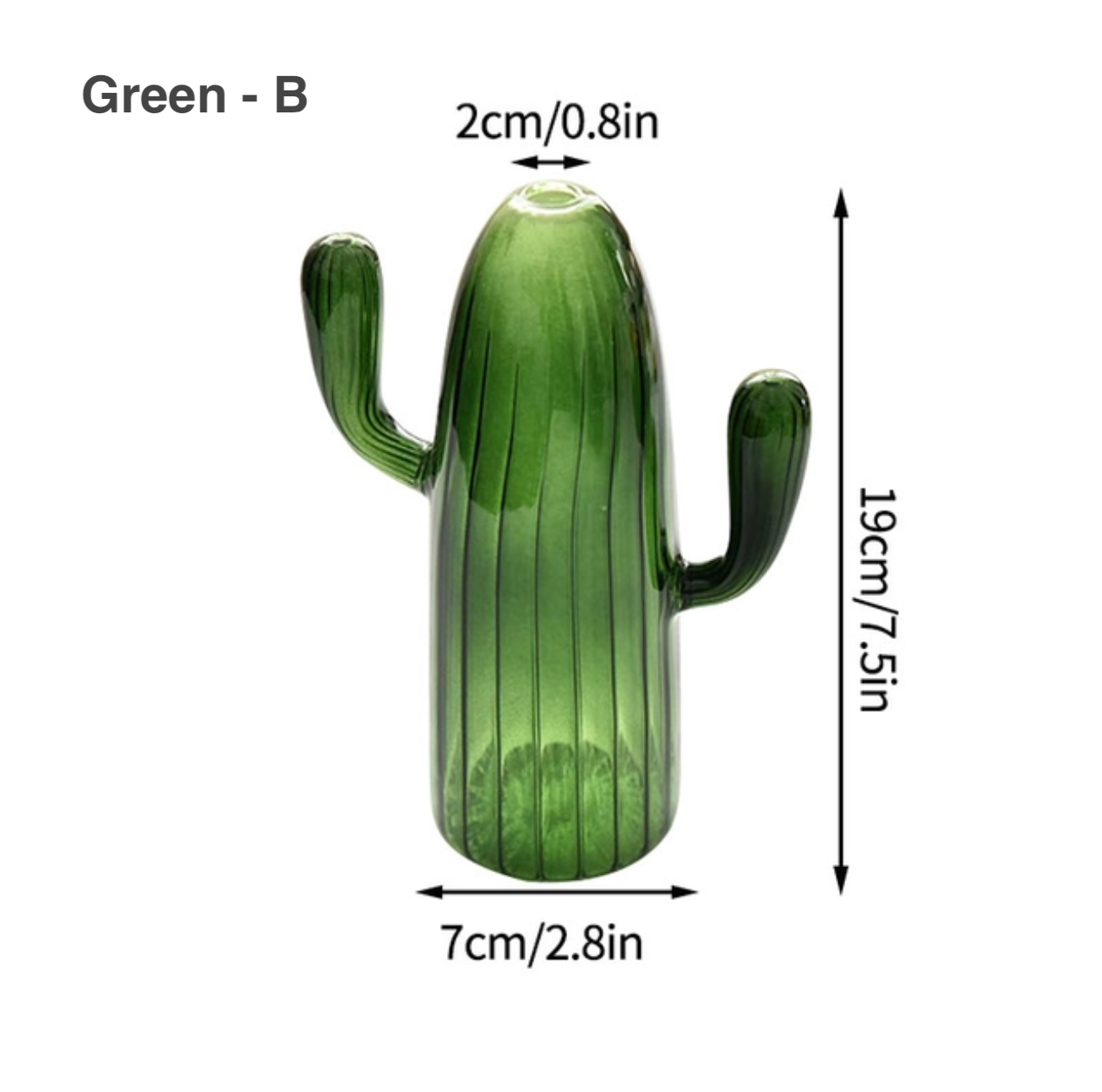 IVORE.GROUP - Cactus Shaped Glass Hydroponics Plant Vase