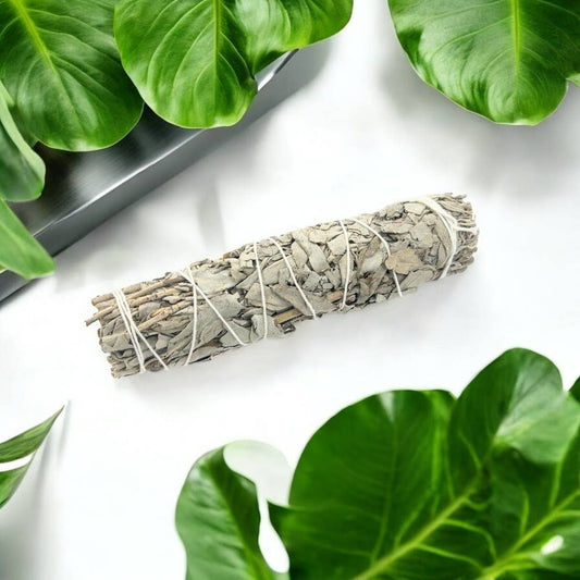 Earths Elements Wholesale - Sage Bundle - California, Medium